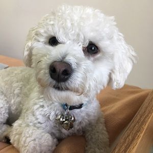 Meet your Posher, Crysta